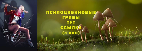 экстази Бородино