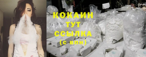 экстази Бородино