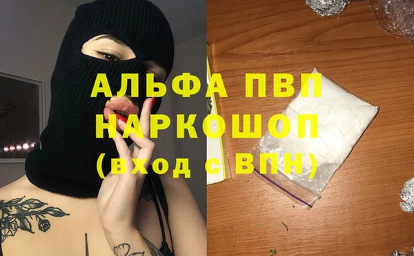 экстази Бородино