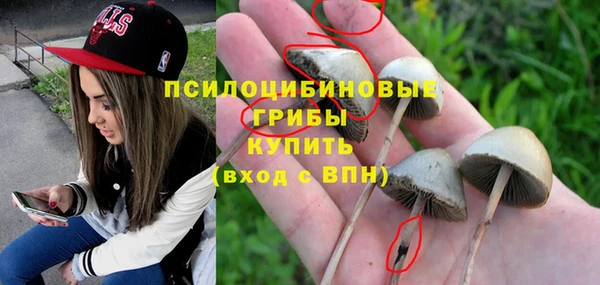 трава Бронницы