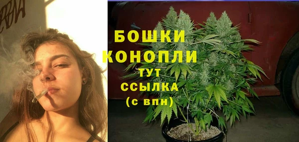 трава Бронницы