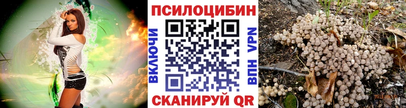 что такое   Лосино-Петровский  даркнет телеграм  Псилоцибиновые грибы ЛСД 